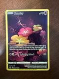 Pokémon TCG Crown Zenith - Comfy GG14/GG70 Alt Art